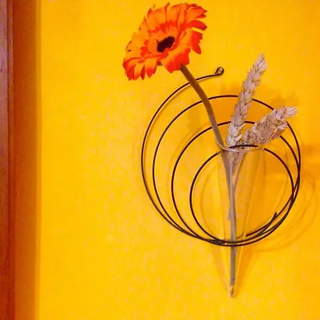 Lägenhet La Casa Sull'arco *